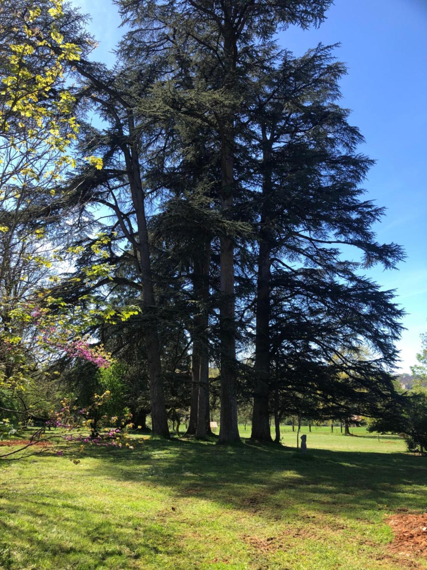 Javerlhac-et-la-Chapelle-Saint-RobertChateau De Puymoger住宿加早餐旅馆 外观 照片